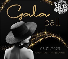 Banner Galaball der FG Schöllonia